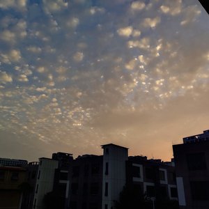 欧美成人精品一区二区综合免费
